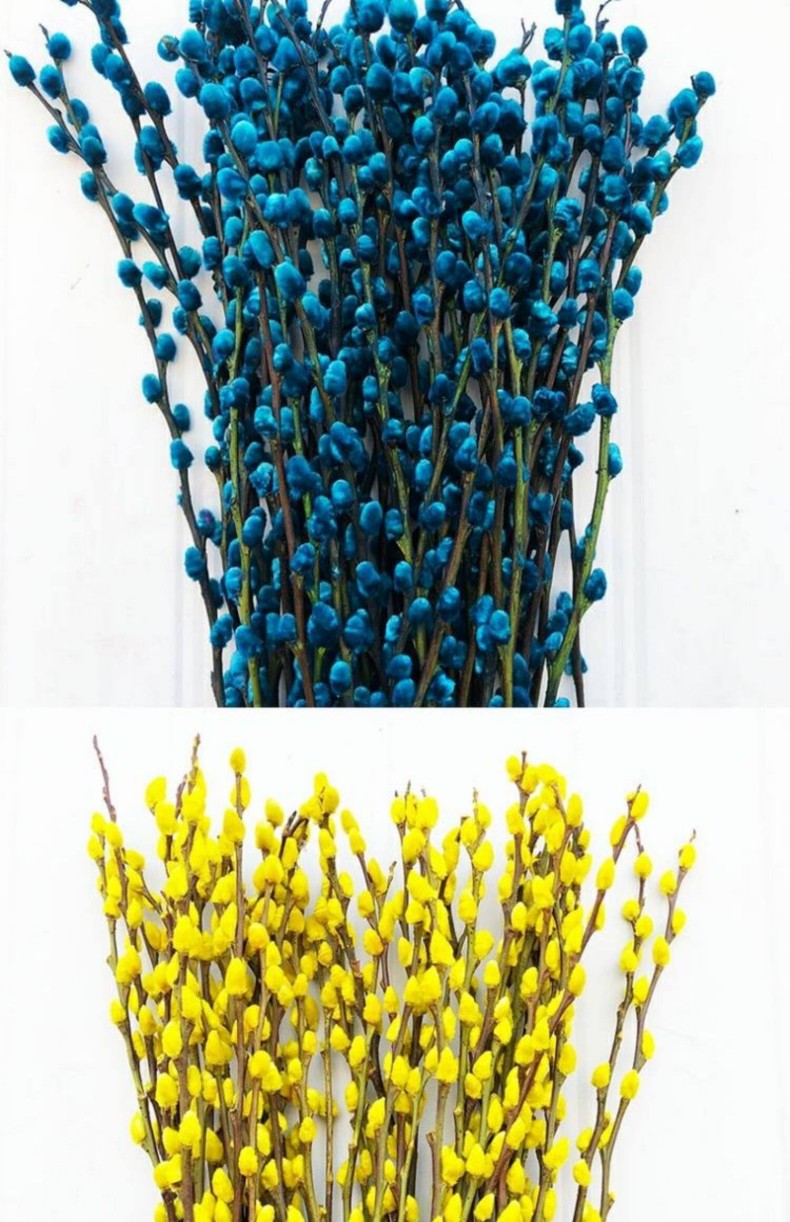 20260604100038805.jpg